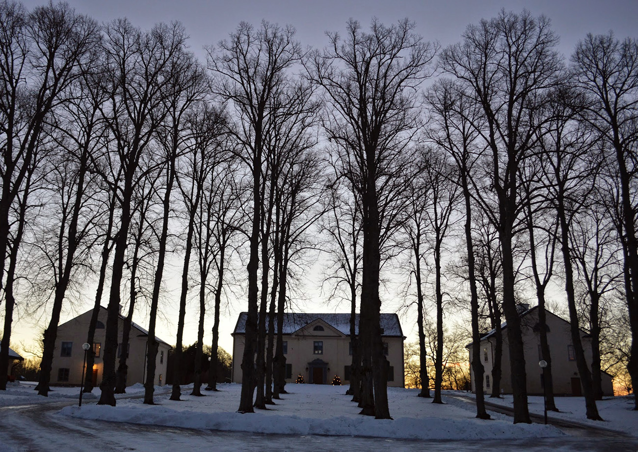 Houses in the snow